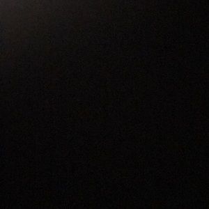 Meet your Posher, Sadie